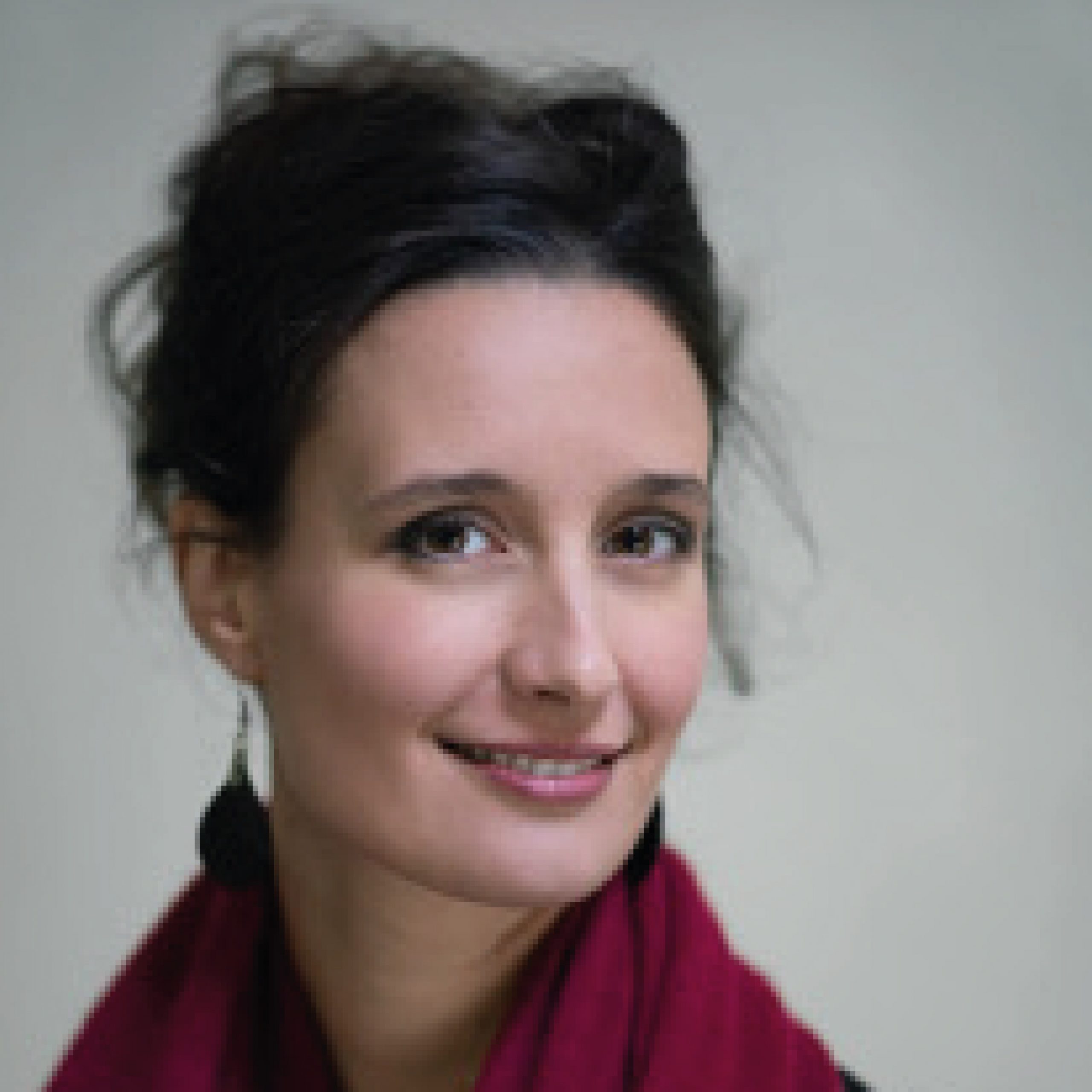 LES ARTISTES2_09 Virginie Thomas Mont Brouilly